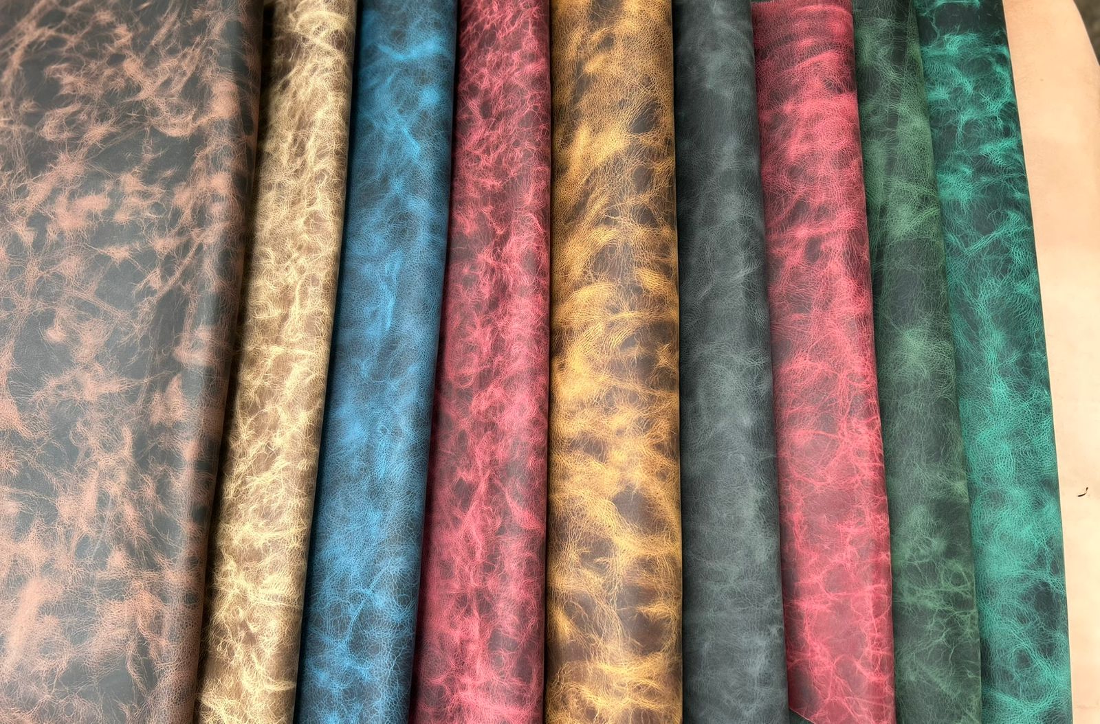 WhatsApp Image 2026-02-19 at 2.17.10 PM